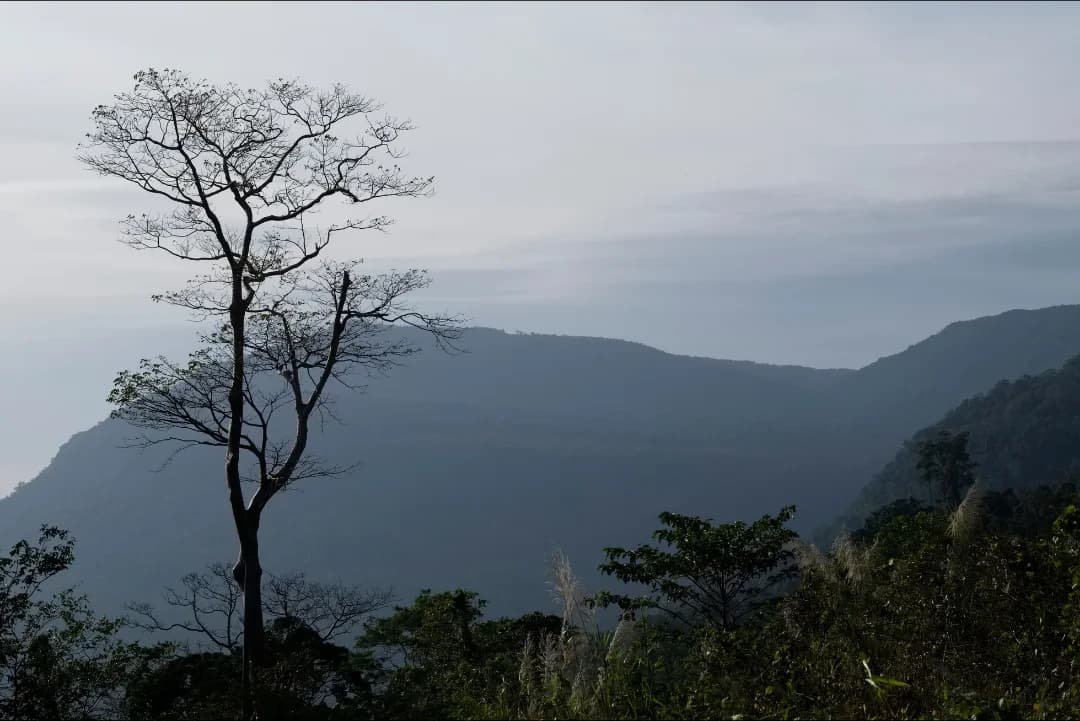Bokor Hill
