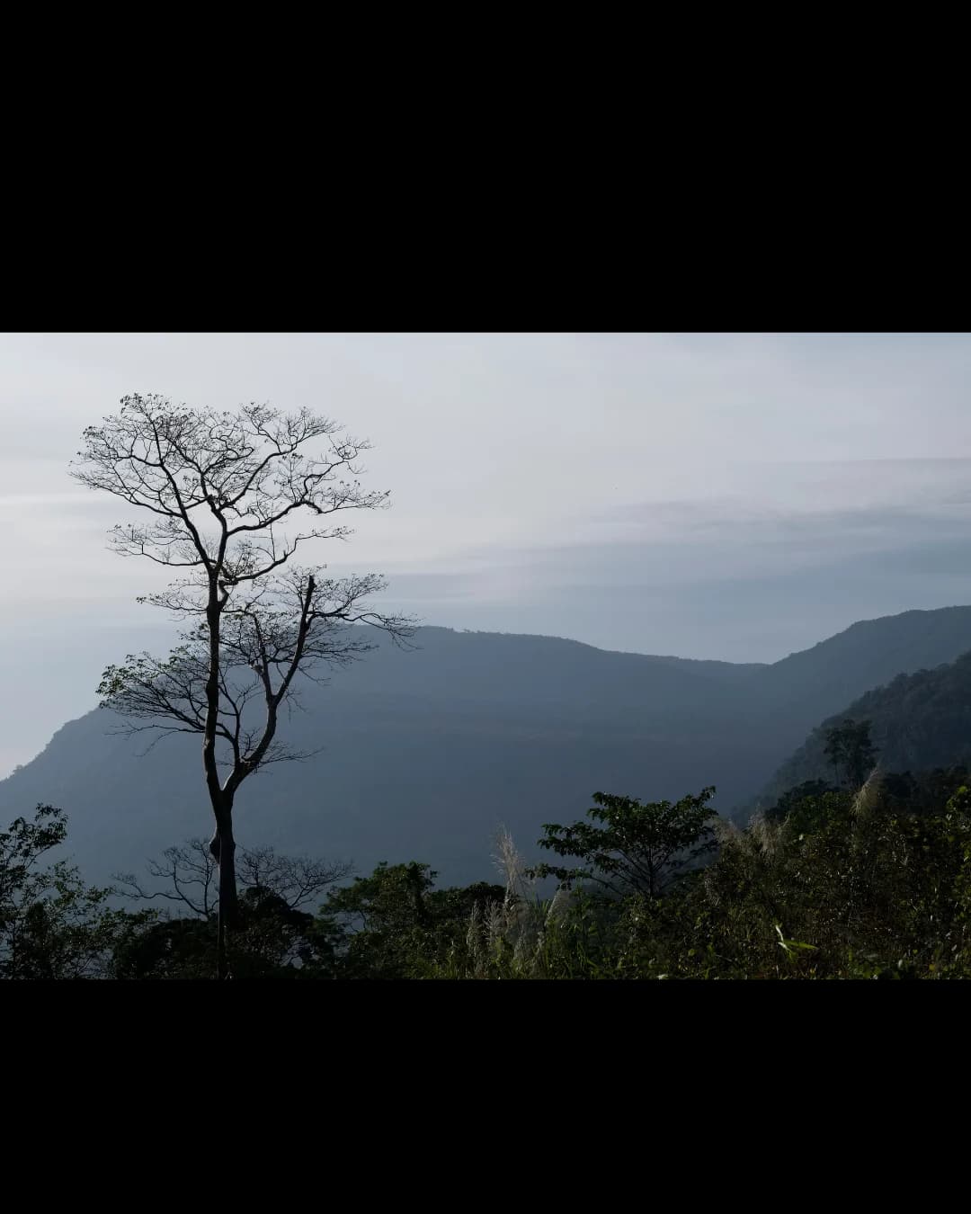 Bokor Hill